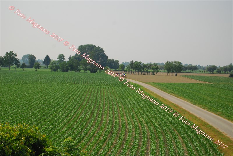 DSC_4990.JPG